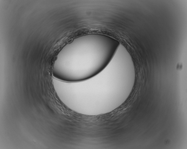 X0000112850916200908211027