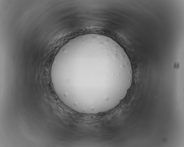 X0000112850917200908211027