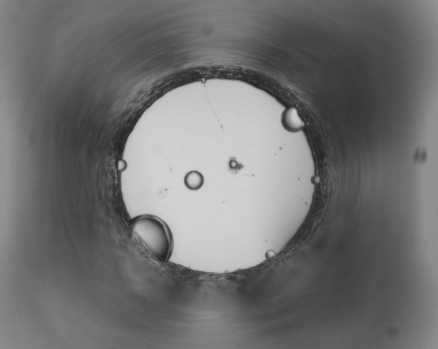 X0000112850918200908211027