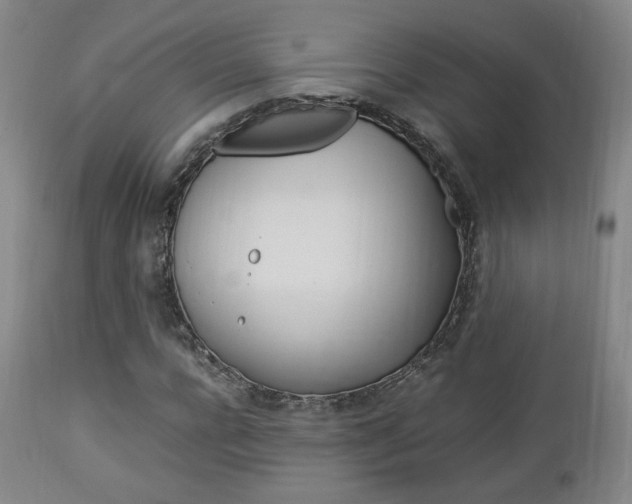 X0000112850920200908211027