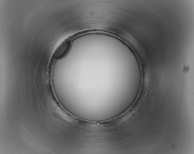 X0000112850924200908211027