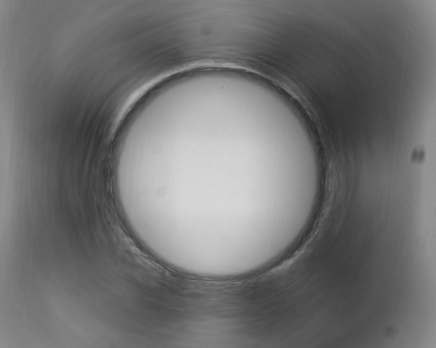 X0000112850926200908211027
