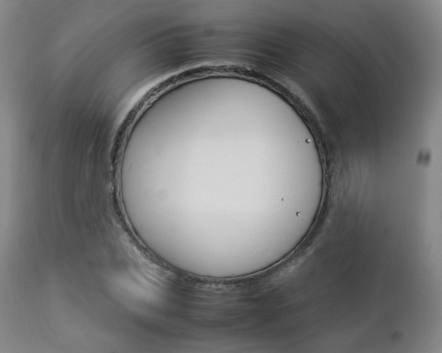 X0000112850927200908211027
