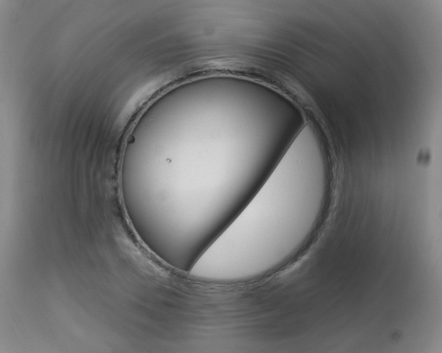 X0000112850930200908211027