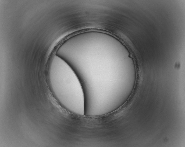 X0000112850931200908211027