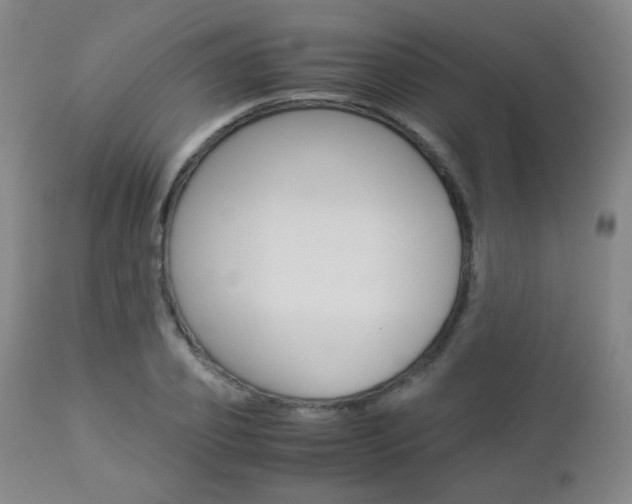 X0000112850933200908211027