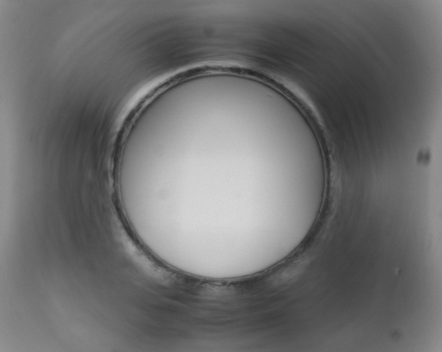 X0000112850935200908211027