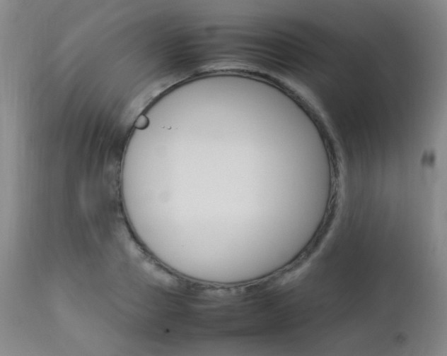 X0000112850937200908211027