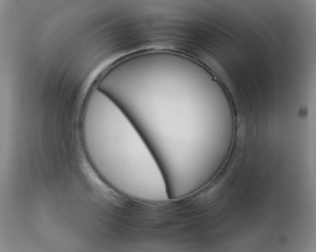 X0000112850939200908211027