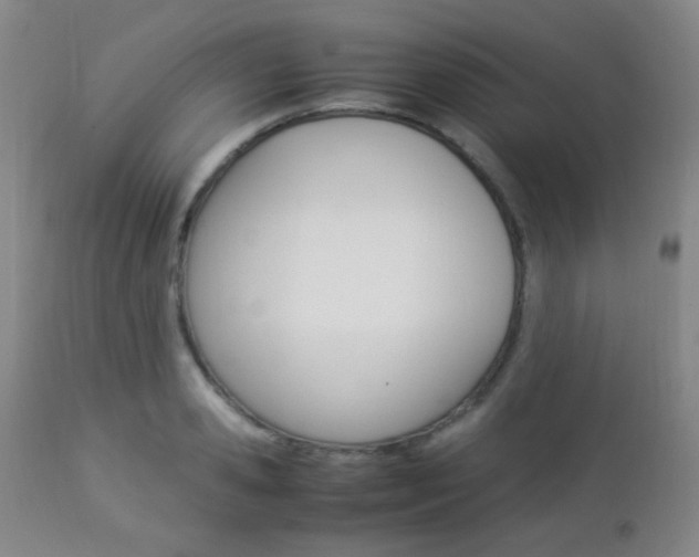 X0000112850941200908211027