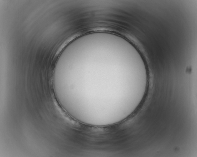 X0000112850945200908211027