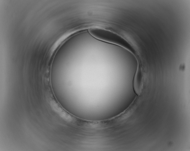 X0000112850948200908211027