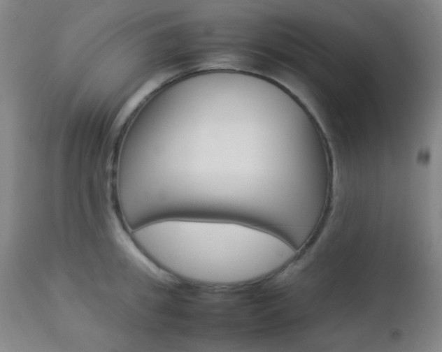 X0000112850949200908211027