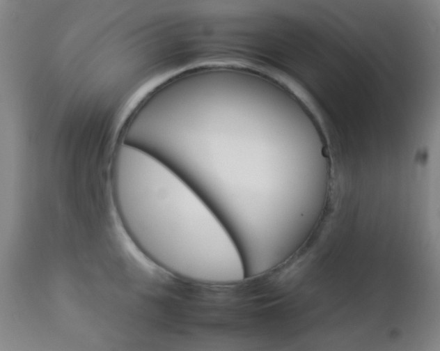X0000112850951200908211027