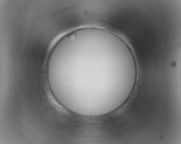 X0000112850952200908211027