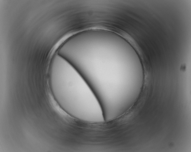 X0000112850955200908211027