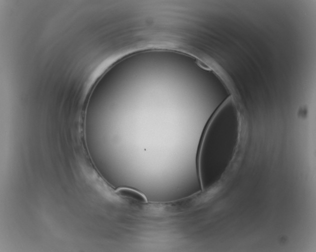 X0000112850956200908211027
