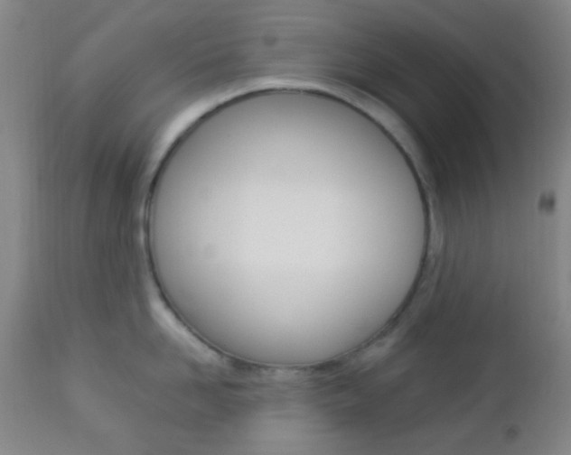 X0000112850958200908211027
