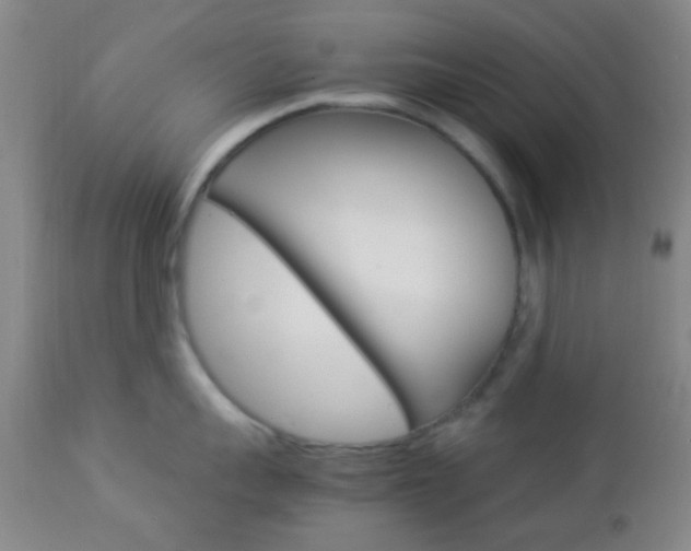 X0000112850959200908211027