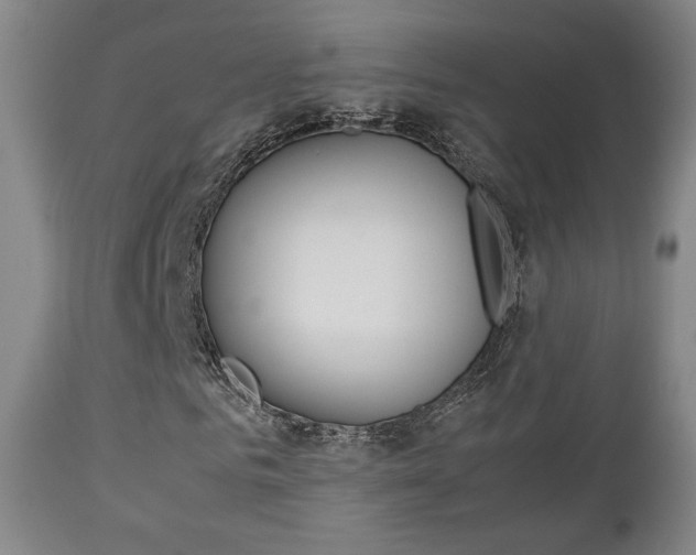 X0000112850961200908211027