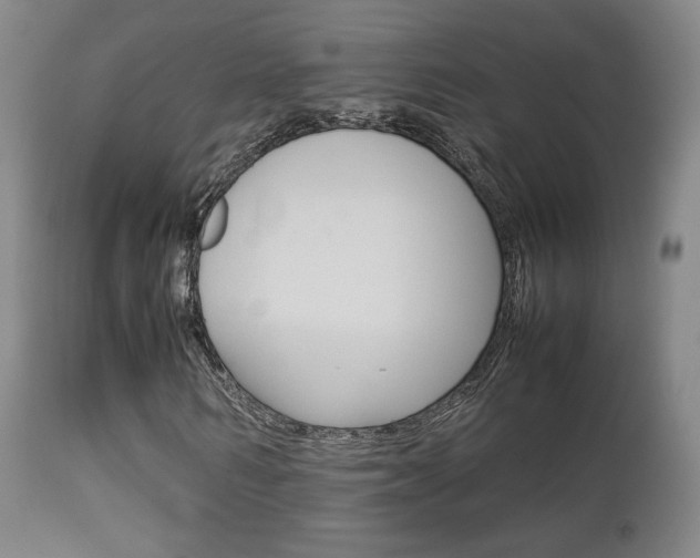 X0000112850962200908211027