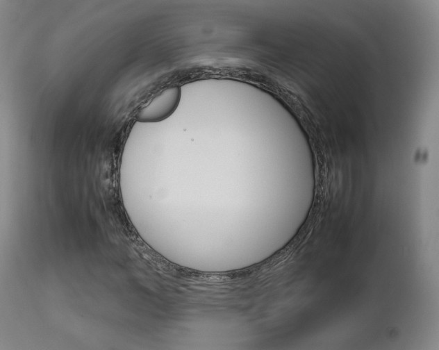 X0000112850966200908211027