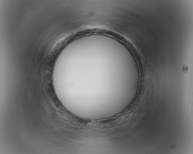 X0000112850967200908211027