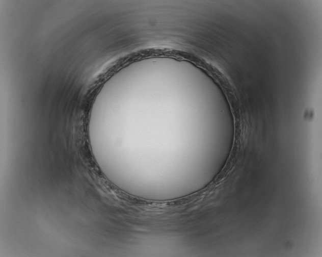 X0000112850968200908211027