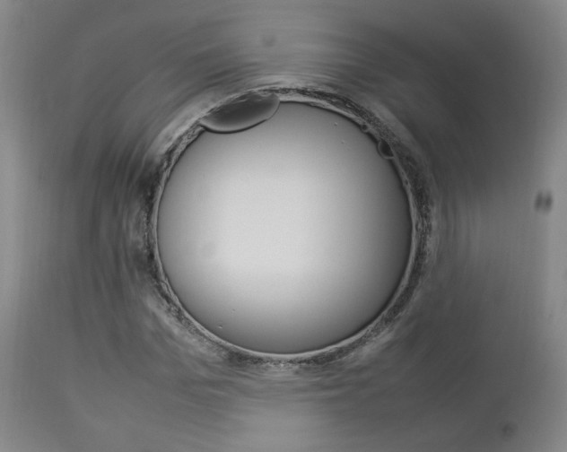 X0000112850969200908211027
