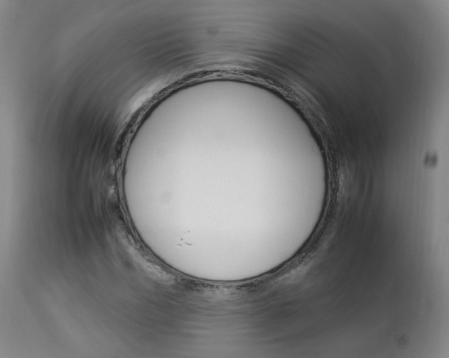 X0000112850970200908211027