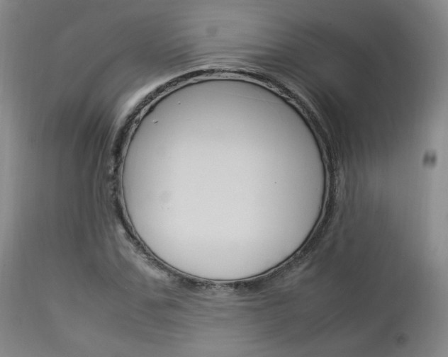 X0000112850971200908211027