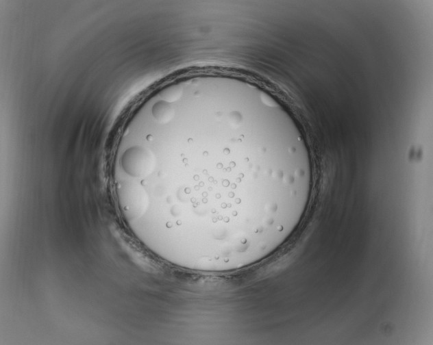 X0000112850974200908211027