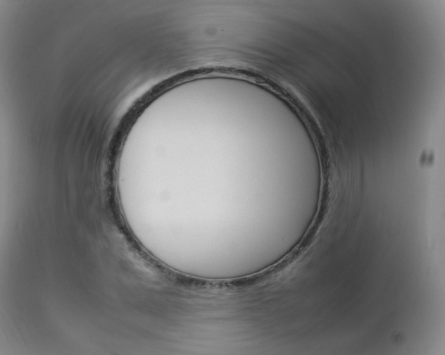 X0000112850975200908211027