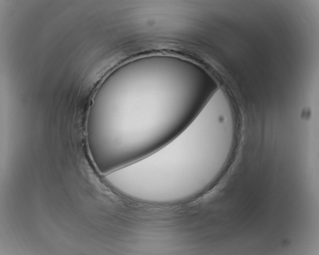 X0000112850977200908211027