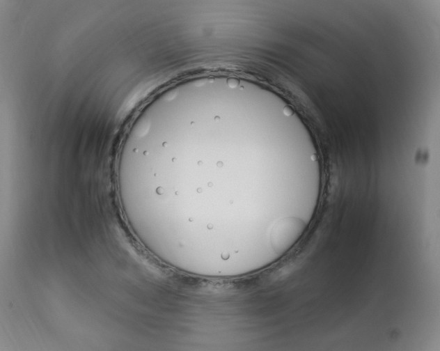X0000112850978200908211027
