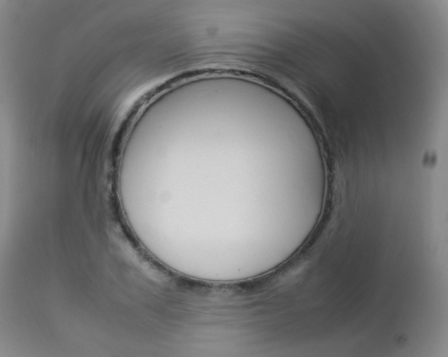 X0000112850979200908211027