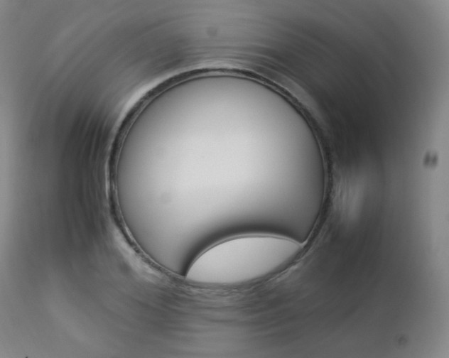 X0000112850980200908211027