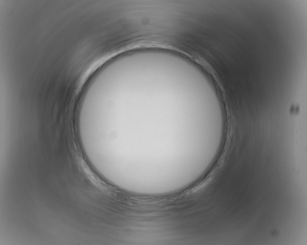 X0000112850981200908211027