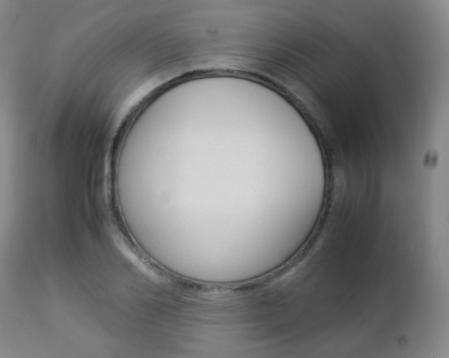 X0000112850982200908211027
