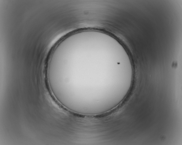 X0000112850983200908211027