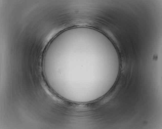 X0000112850986200908211026