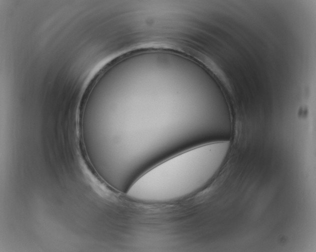 X0000112850988200908211026