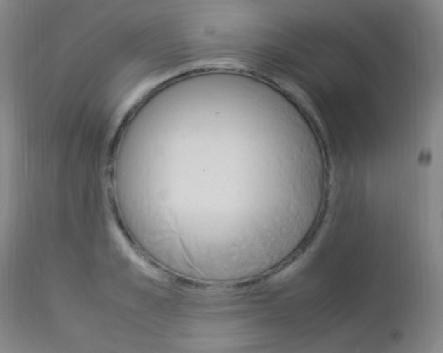X0000112850989200908211026