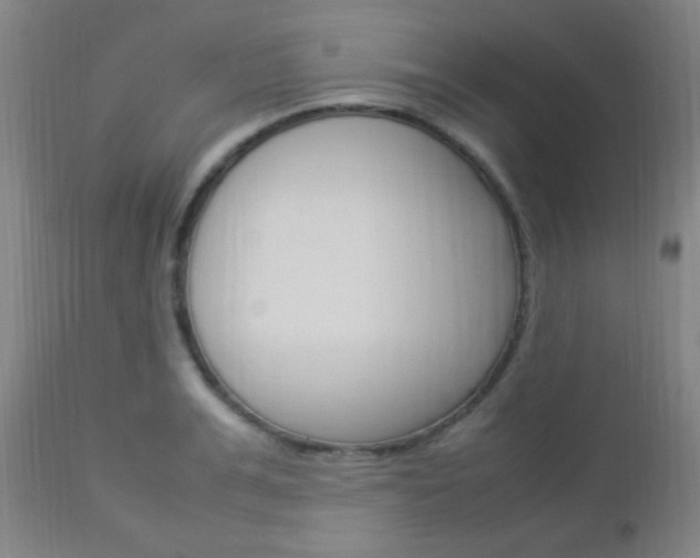 X0000112850991200908211026