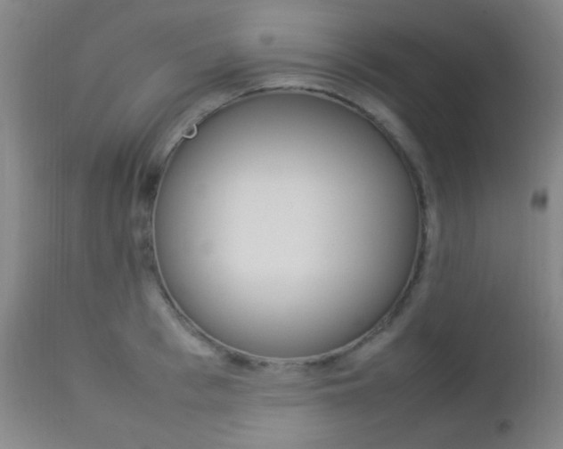 X0000112850993200908211026