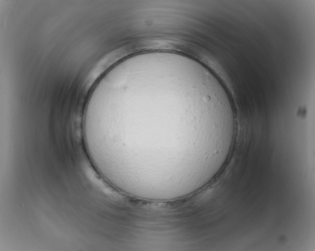 X0000112850994200908211026