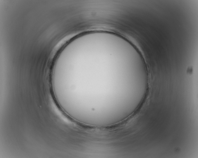 X0000112850995200908211026