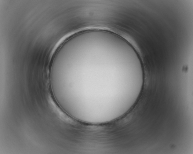 X0000112850996200908211026