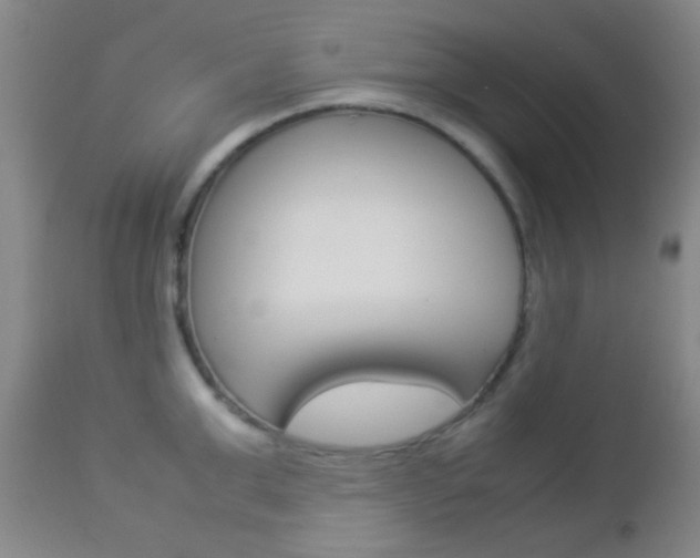 X0000112850999200908211026