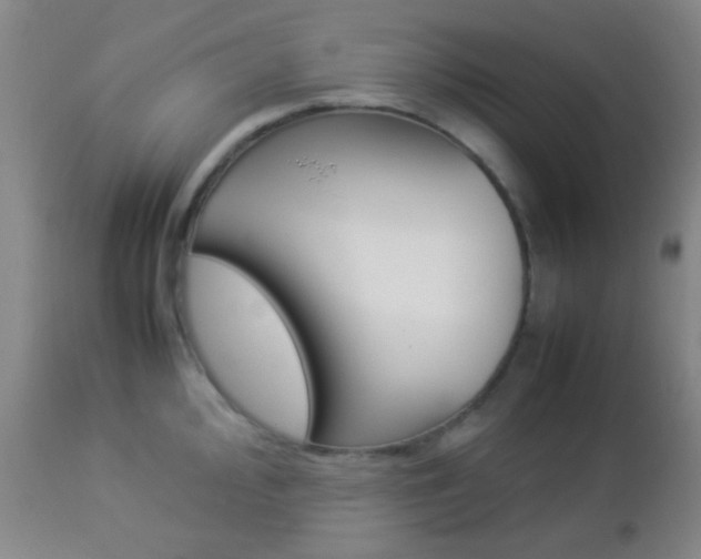 X0000112851000200908211026